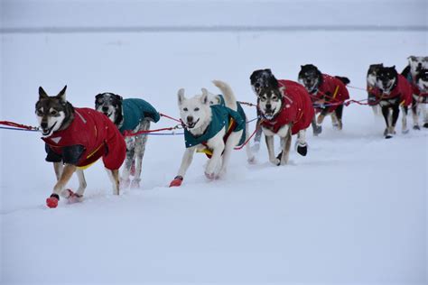 Iditarod Checkpoints