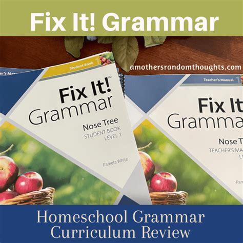 Iew Fix It Grammar Review A Mother 039 Daily Fix It Sentences 4th Grade - Daily Fix It Sentences 4th Grade