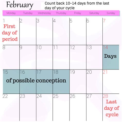 if my due date is march 30 when did i conceive