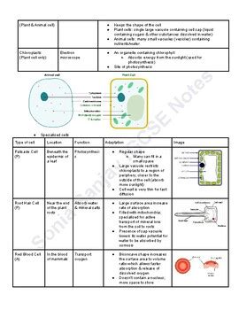 Igcse Combined Science Notes