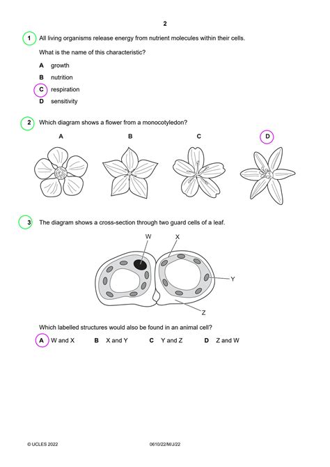 Read Igcse Biology Multiple Choice Past Papers 