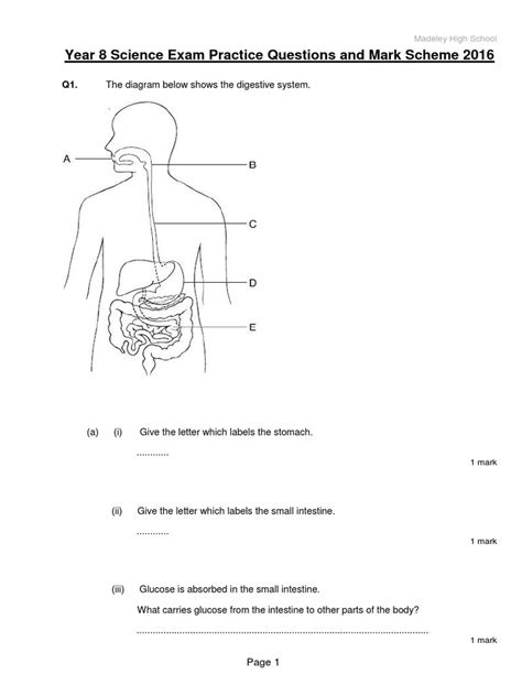 Full Download Igcse Year 8 Science Test Papers 