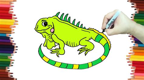 Iguana Dibujo Facil