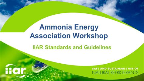 Read Iiar Standards And Guidelines 