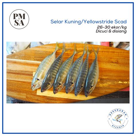 Ikan Selar Kuning