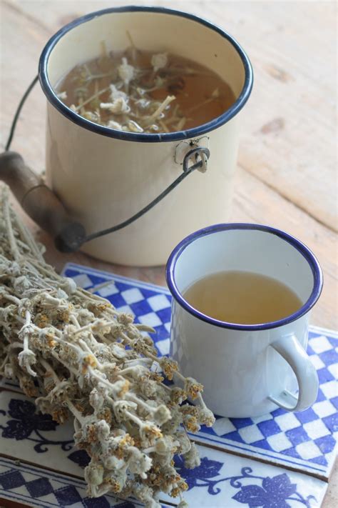 ikaria mountain tea recipe