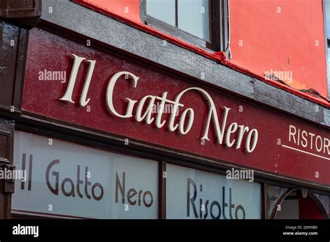 Il Gatto Nero