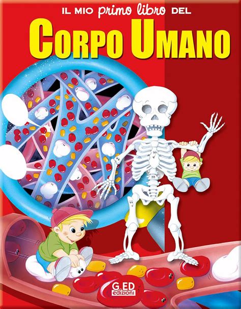 Il Mio Primo Libro Del Corpo Umano Ediz A Colori
