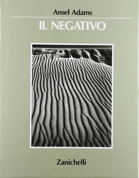 il negativo