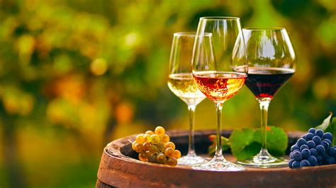 Il Vino