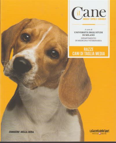 Full Download Il Cane Linguaggio Il Cane Amarlo Capirlo Educarlo 