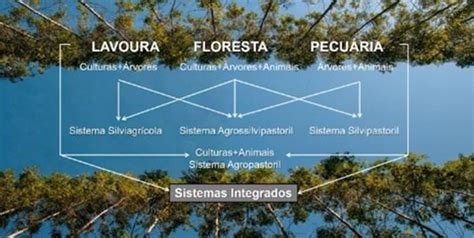 fazobetai: Apostas Desportivas Online com Garantia de Segurança Financeira para Todos os Jogadores - Foto 2