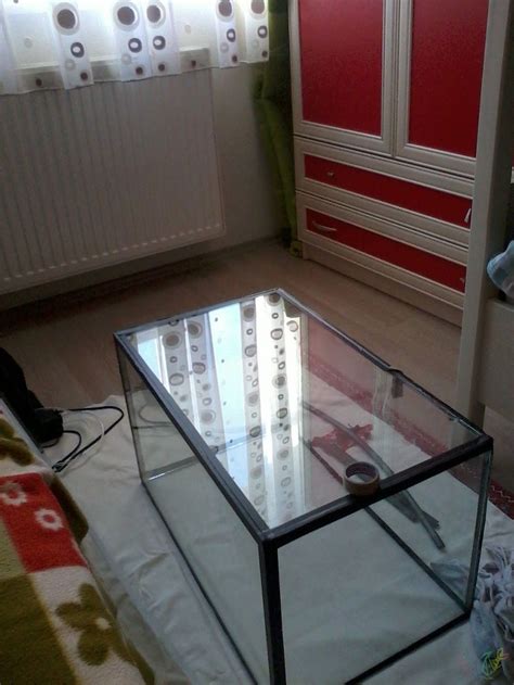 codini.rgarabwor.edu.pl. 