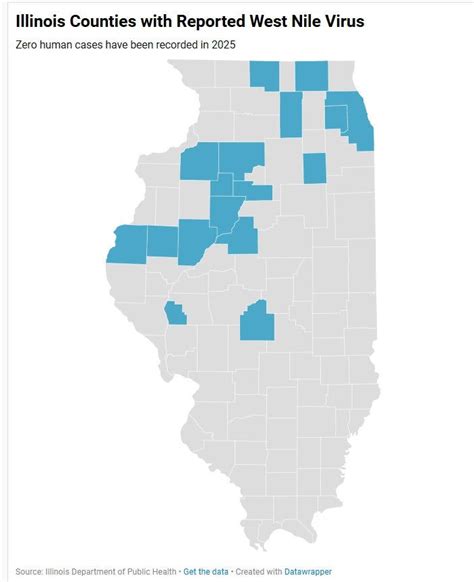 illinois case net