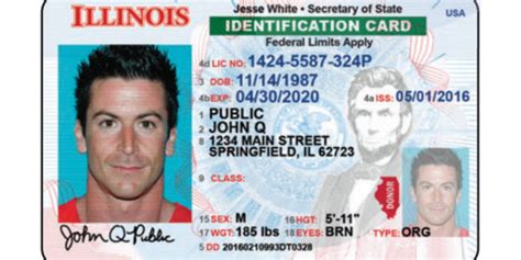 illinois identification card