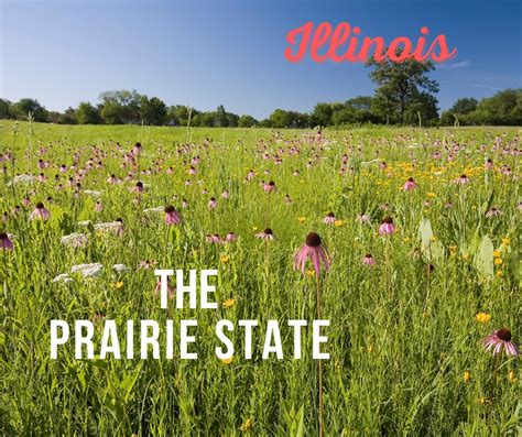 illinois nickname