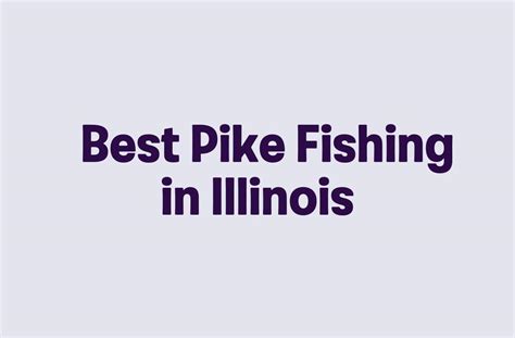 illinois pike