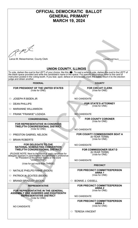 illinois sample ballot