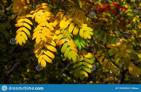 nature photo by Sonia Schimmel