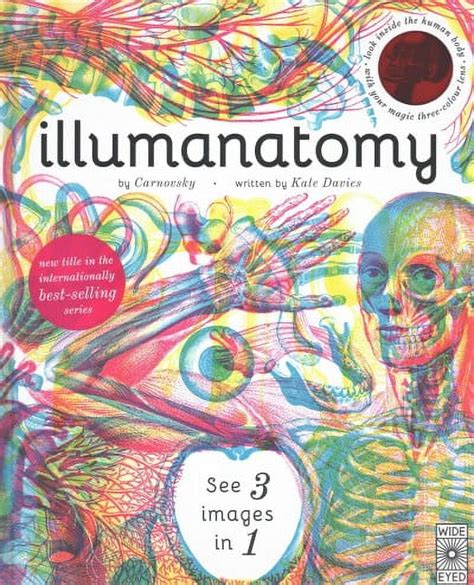 illumanatomy