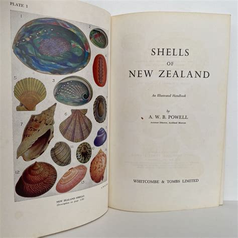 Illustrated Handbook Of Shells