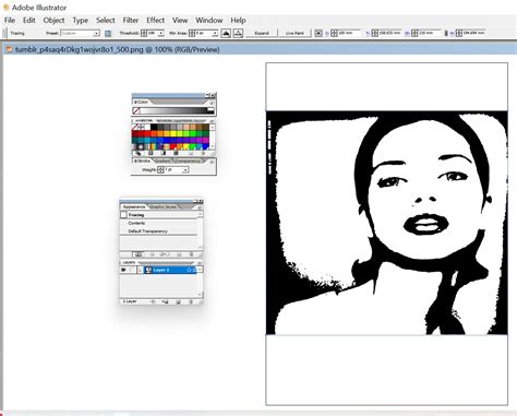 Full Download Illustrator Cs2 Guide 