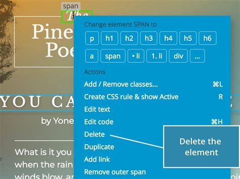 Imacros Delete Elements Html