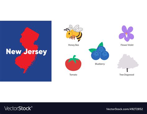 image representing new jersey