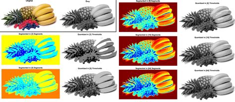 image segmentation neural network matlab code