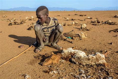 Images Of Famine In Africa