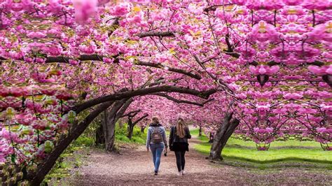 imcherryblossom nudes