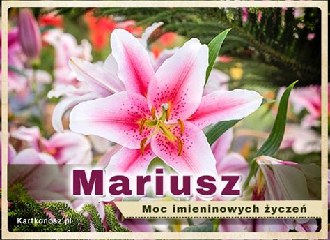 imieniny mariusza