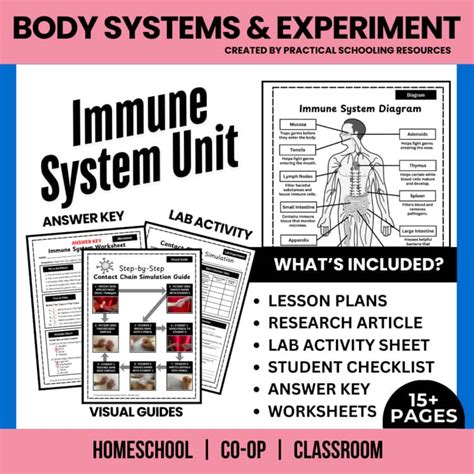 Immune System Lab Activity High School