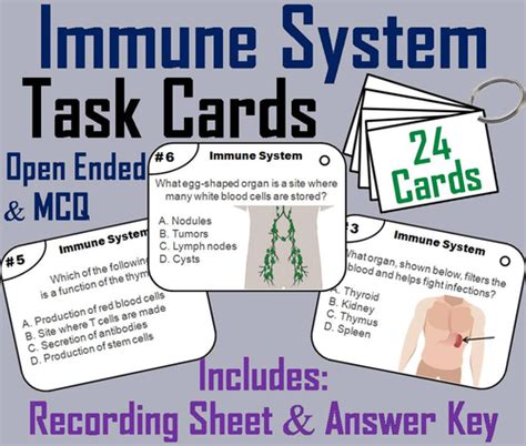 Immune System Sequencing Cards Teaching Resources Immune System Worksheet Middle School - Immune System Worksheet Middle School
