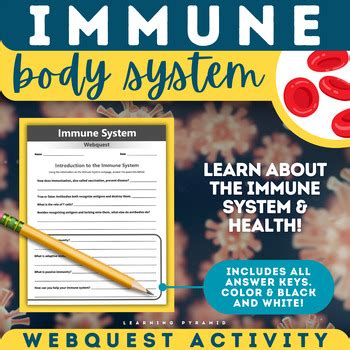 Immune System Webquest