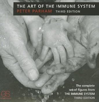 Full Download Immune System Parham 3Rd Edition 