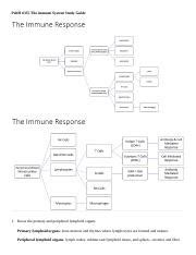 Full Download Immune System Study Guide Answers 