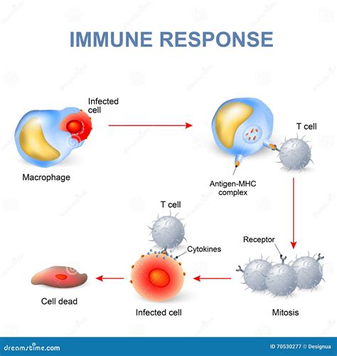 immuniteit reactie