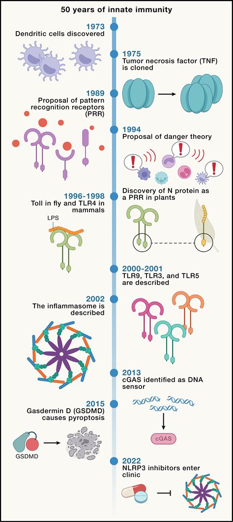 Immunity The Evolution Of An Idea