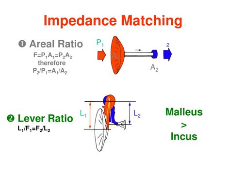 Impedance Matching Ear