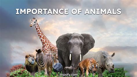 importance of animals