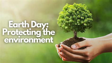 Importance Of Environment