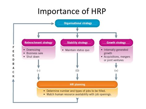 Importance Of Hrp