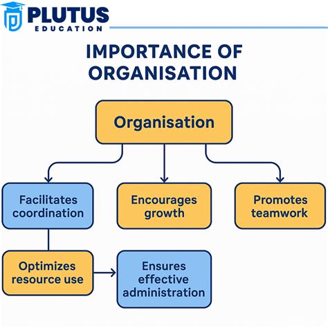 Importance Of Organisation