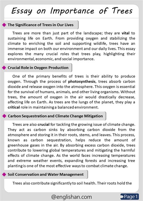 Importance Of Trees Essay
