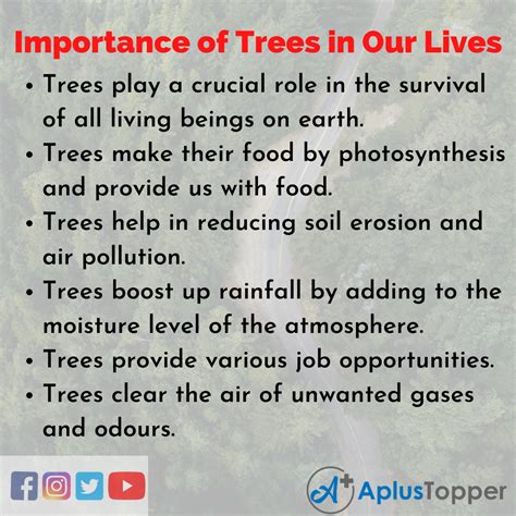 Importance Of Trees Essay 300 Words