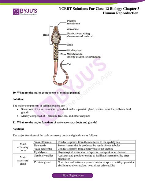 Full Download Important Questions For Class 12 Biology Chapter Wiseof Hbse 