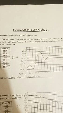 Impregroupdittaedile It Homeostasis Worksheet Graph Answer Key Html Body Systems Chart Worksheet Answers - Body Systems Chart Worksheet Answers
