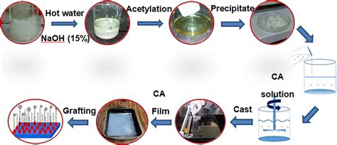 Improving Water Desalination Sustainable Grafted Cellulose Acetate Osmosis Science - Osmosis Science