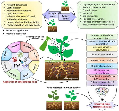 Full Download Improving Soiling Resistance With The Aid Of Nanoparticles 